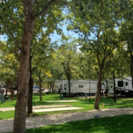 parked rvs in grassy area with trees